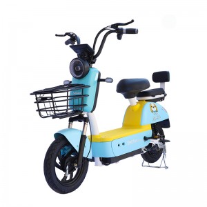 OEM 電動自行車工廠，生產帶有輪轂馬達的高品質遠端登山車安裝電動自行車