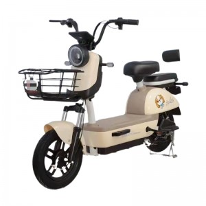 Fabbrica di biciclette elettriche OEM per biciclette elettriche MTB a lungo raggio di alta qualità con motore con mozzo
