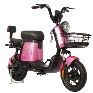 Gecertificeerd 2023 Us Hot Selling E-Bike Online Shop Verkoopfiets 350W / 500W 48V 60V Mini elektrische fiets