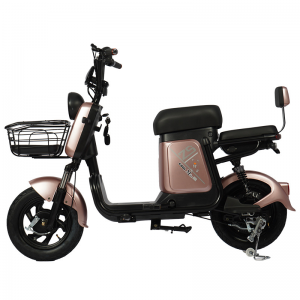 Bersertifikat 2023 Us Hot Selling E-Bike Toko Online Penjualan Sepeda 350W/500W 48V 60V Sepeda Listrik Mini