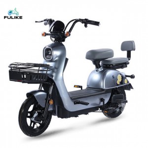 Sepeda Listrik Kustom Produsen Cina E-Cycle Kualitas Tinggi Panas 48V350W/500W Ebike