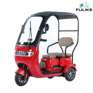 FULIKE Elektro-Trike-Dreirad-Hersteller, 3-Rad-Elektro-Dreirad mit Dach, neues Triciclo Electrico Adulto