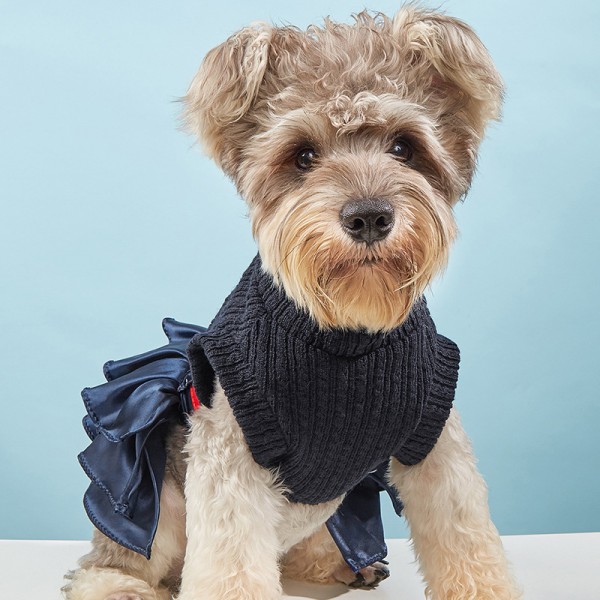 Pet Clothing Business