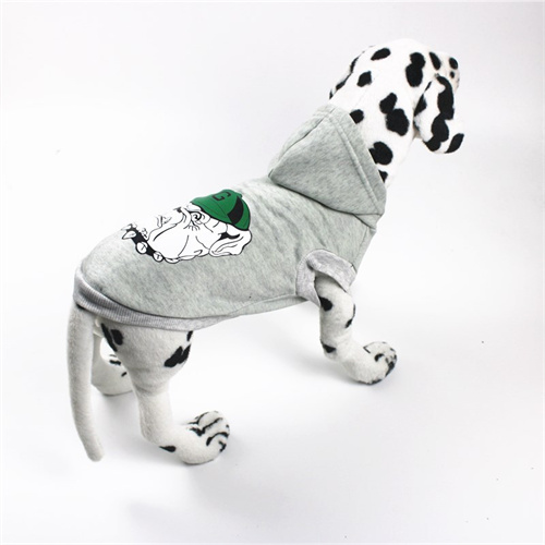 pet apparel manufacturers How to make a dog feel loved?