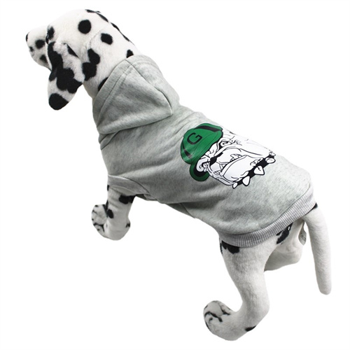 pet apparel manufacturers：How to educate a dog properly?