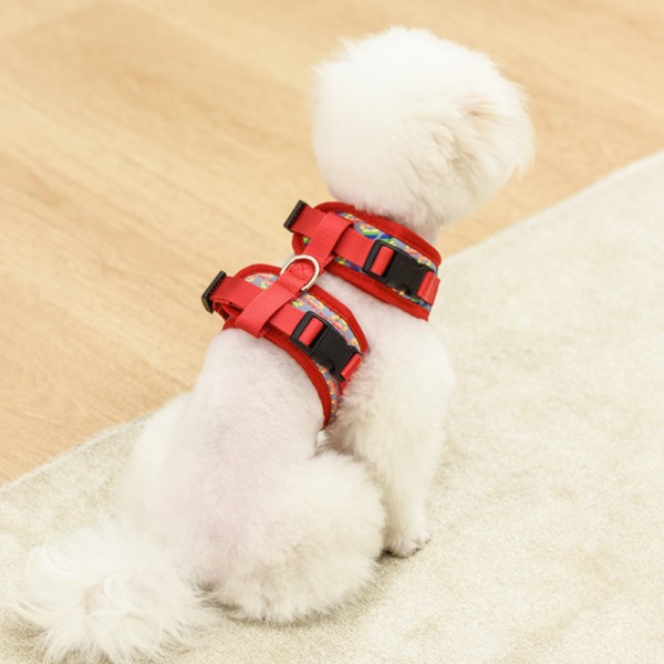 Other people’s dogs are always envied pet carrier china