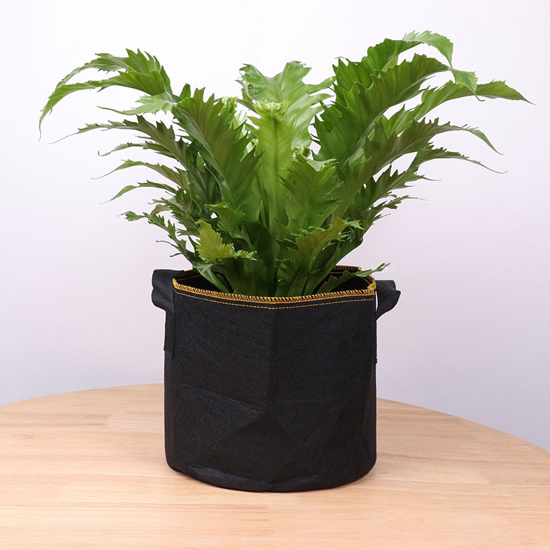 Grs Felt Plant Pot with Handle Hình ảnh nổi bật