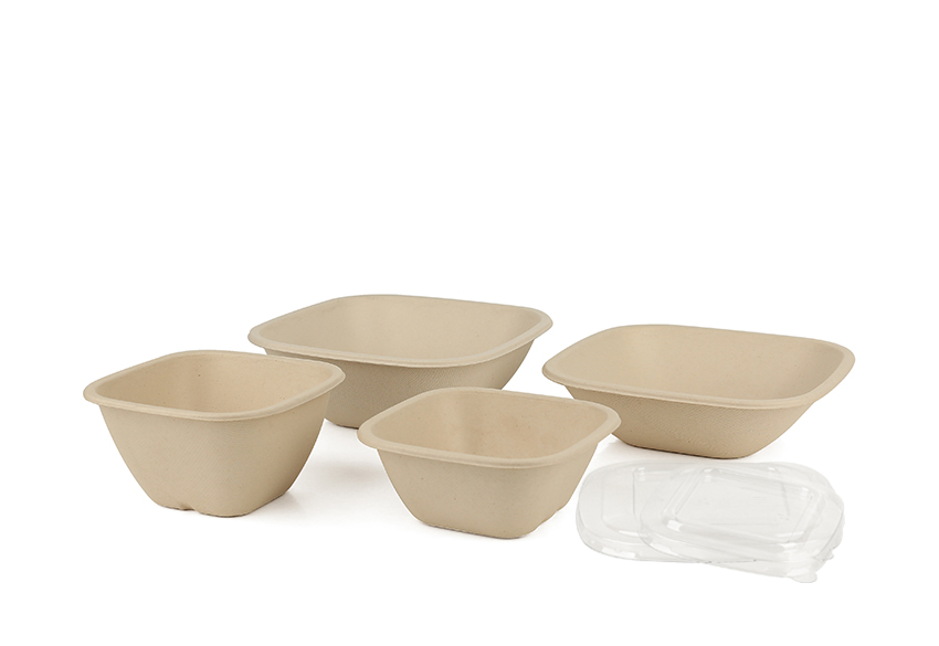 Bagasse Square Bowls With Lids