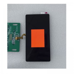 2.4 ኢንች TFT LCD ማሳያ አይፒኤስ ከ Capacitive Touch ማያ ገጽ ጋር