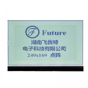 Taisbeanadh 240 * 160 Dot Matrix FSTN LCD