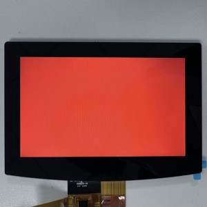 5,0 inch display met touchscreen, Ips LCD-scherm