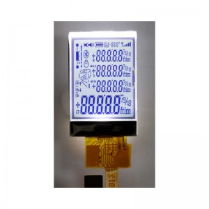 ਖੰਡ LCD ਡਿਸਪਲੇਅ, ਲਿਕਵਿਡ ਕ੍ਰਿਸਟਲ ਸਕਰੀਨ