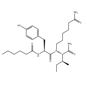گرم وڪرو 99٪ Purity Dihexa (PNB-0408) CAS 1401708-83-5 nootropic Peptide for sale