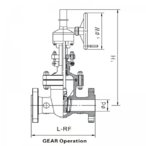API Class 600 & Class 900 gate valve