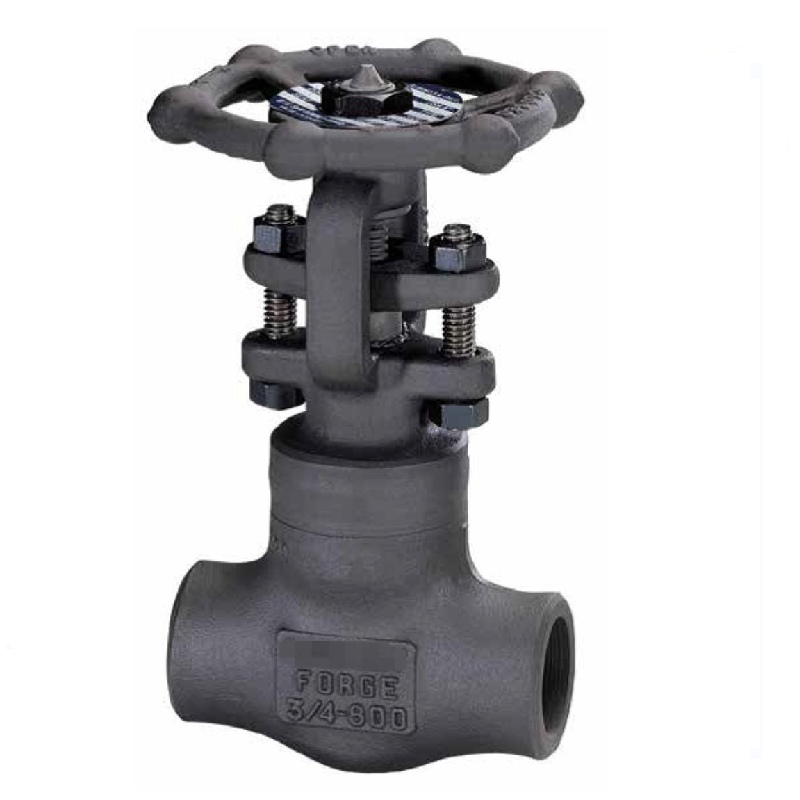 API Class 150 to 1500 forged steel Gate Valve