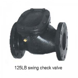 ANSI swing check valve