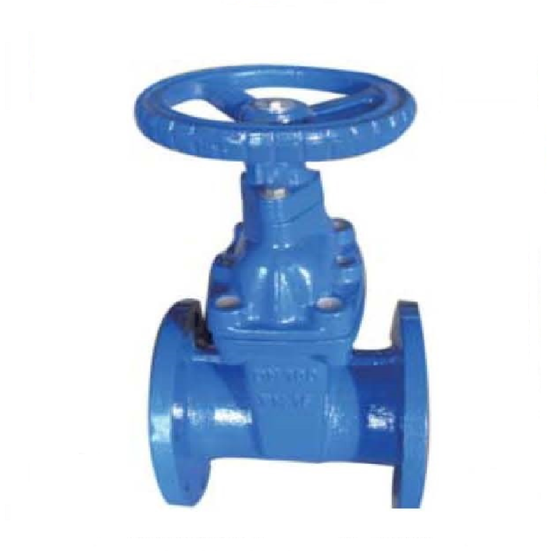 BS5163 resilient seated gate valve non-rising stem