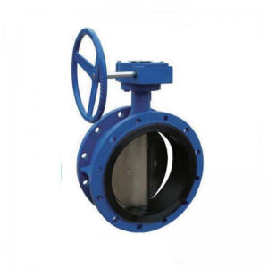 Concentric disc flanged butterfly valve D41X