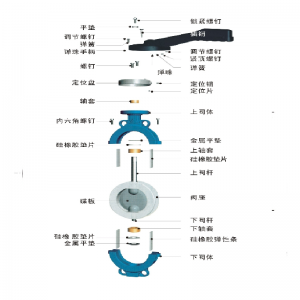 lined butterfly valve series