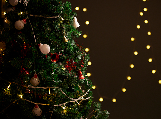 umělé vánoční stromky se světly