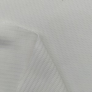 100% Polyester gebreide fûgeloogmesh stof foar aktive wear