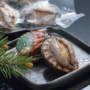 冷冻鲍鱼新鲜，带壳和内脏