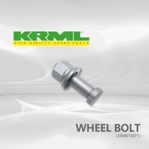 Wheel Bolt na Flange Nut kwa Mercedes-Benz Truck OEM 3384015071