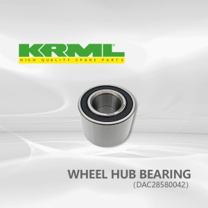 ATV Double Radial Ball BearingWheel hub yokhala ndi DAC28580042