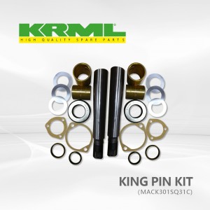 Kwalità għolja, oriġinali, king pin kit għal MACK 301SQ&31C