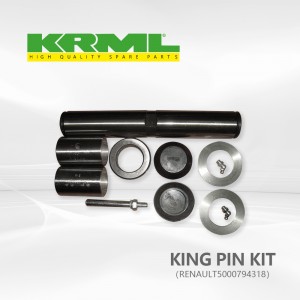 Fabrikant, Orizjinele king pin kit foar RENAULT 318 Ref.Oarspronklik: 5000794318
