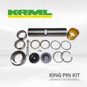 Stock, Factory,Original king pin kit kwa RENAULT 002 Ref.Asili: 5010056002