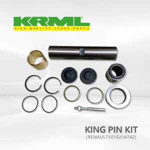 Erresistentzia handikoa, Kamioiaren king pin kit-a RENAULT 742rako Erref.Jatorrizkoa: 5010216742