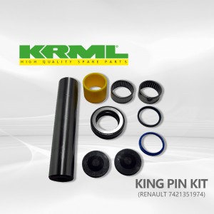 Manufacturer king pin kit para sa RENAULT 974 Ref.Orihinal: 7421351974