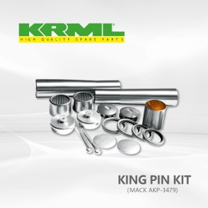 Mafi kyawun farashi, Stock, King pin Kit don MACK AKP 3479