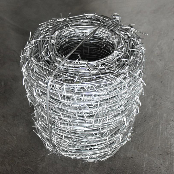 galvanized  barbed wire
