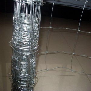 Super Lowest Price Chain Wire Fence - Fixed Knot Field Fence – HongYue