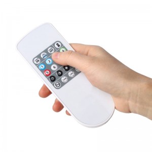 Remote kontrol sing bisa diprogram