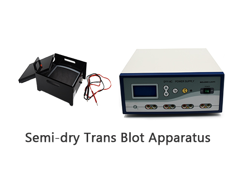 Léngkah Operasi pikeun Semi-garing Trans Blot Aparatur DYCP-40C
