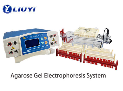 Product Introduction: Agarose Gel Electrophoresis Tank DYCP-31DN