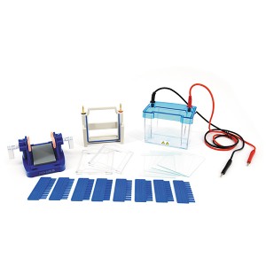 Electrophoresis Cell សម្រាប់ SDS-PAGE និង Western Blot