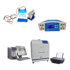 Turnkey Solution for Protein Electrophoresis Products