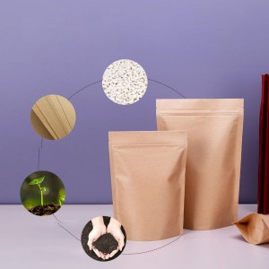 Biodegradable nga Kraft Paper Bag nga modelo: BTG-20