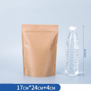 Biodegradable Kraft پيپر بيگ ماڊل: BTG-20