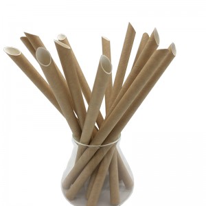 Biodegradable Drinking Straws - Food Grade Eco-friendly Disposable Diagonal Cut Paper Straw – GENFEAL