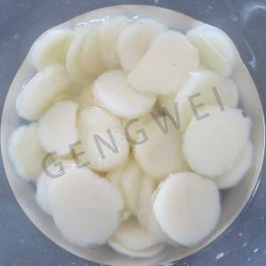 Canned water chestnut sliced