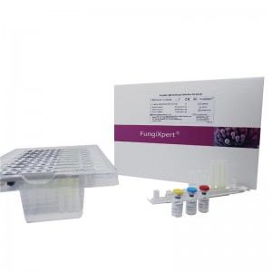 Best Price for COVID-19 antibody test - Candida IgM Antibody Detection Kit (CLIA) – Genobio