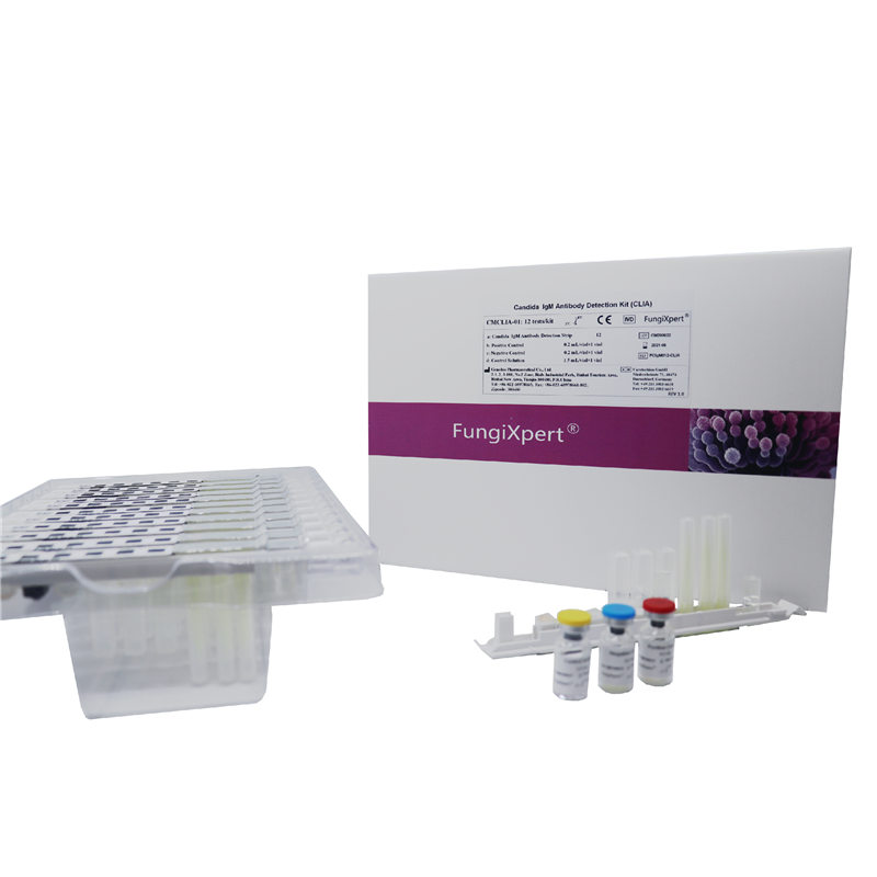 Kit de détection des anticorps anti-Candida IgM (CLIA)