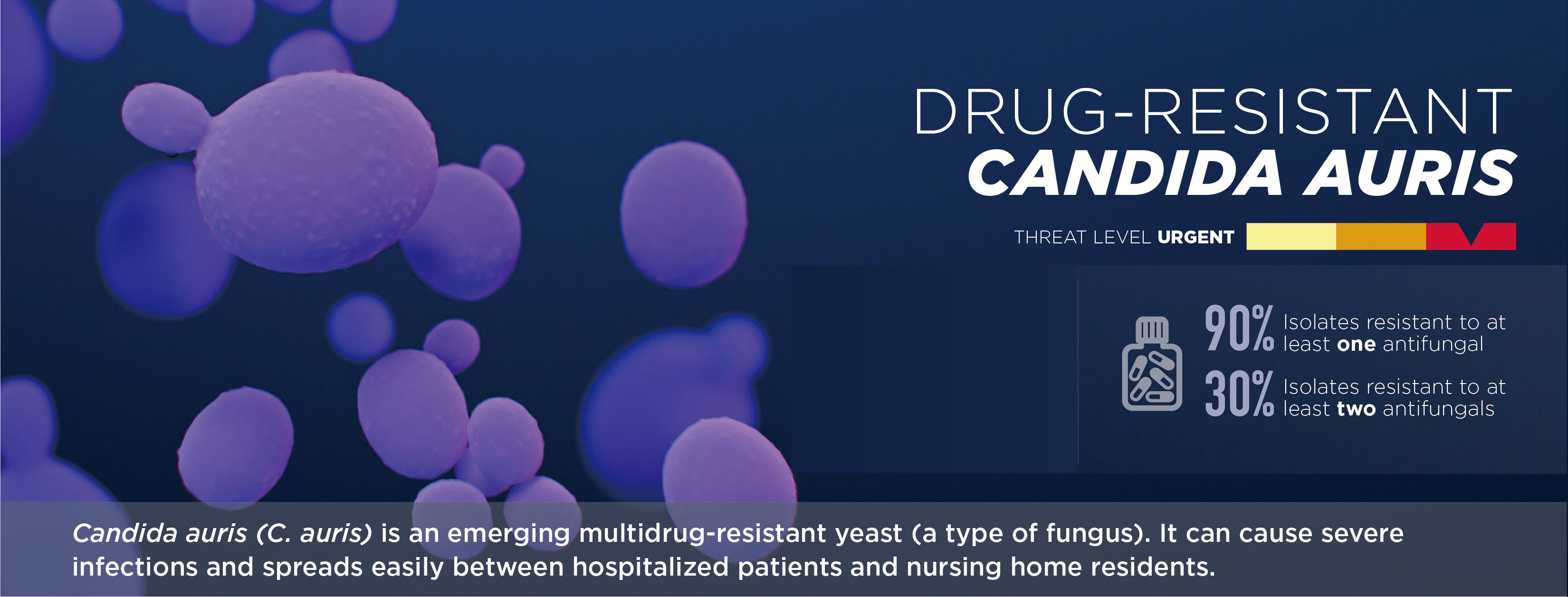New product launched —- Molecular diagnosis for drug-resistant Candida auris