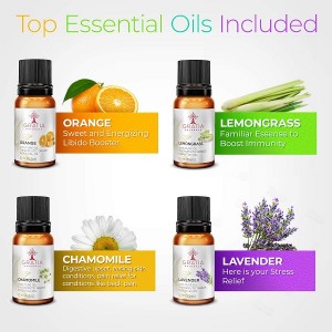 Aromatherapy Essential Oil Diffuser with Essential Oils Set