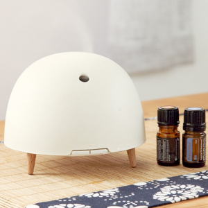 Getter wholesale essential oil wood bamboo aromatherapy diffuser–Bibo
